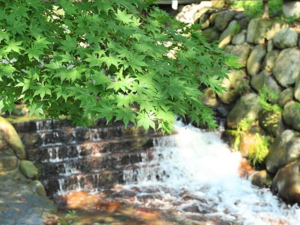 Yuzawa Toei Hotel Dış mekan fotoğraf